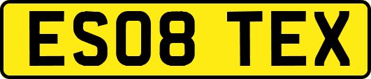 ES08TEX