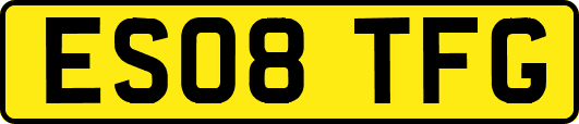 ES08TFG