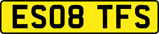 ES08TFS