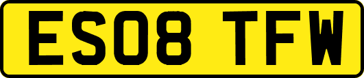 ES08TFW