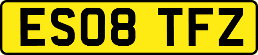ES08TFZ