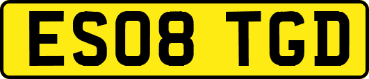 ES08TGD
