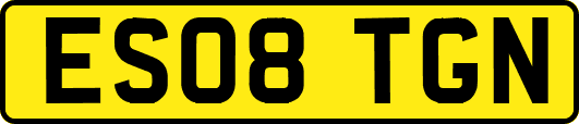 ES08TGN