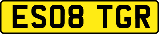 ES08TGR