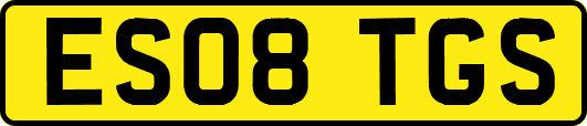 ES08TGS