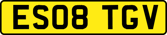 ES08TGV