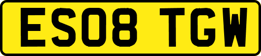 ES08TGW