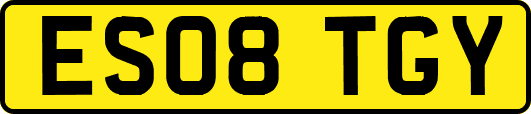 ES08TGY