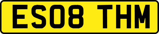 ES08THM