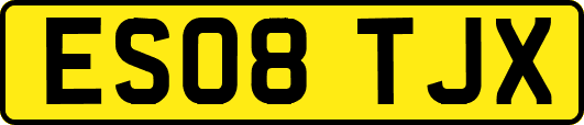 ES08TJX