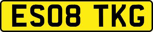 ES08TKG