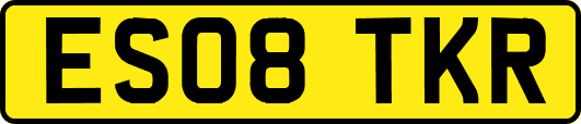 ES08TKR
