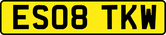 ES08TKW