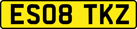 ES08TKZ
