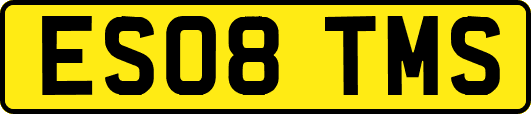 ES08TMS