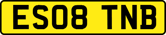 ES08TNB