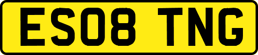 ES08TNG