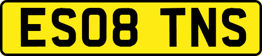 ES08TNS