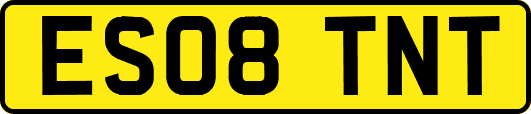 ES08TNT
