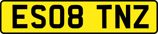 ES08TNZ