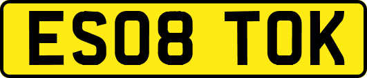 ES08TOK