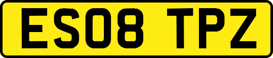 ES08TPZ