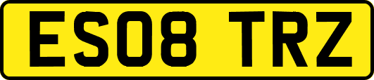 ES08TRZ