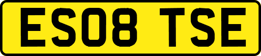 ES08TSE
