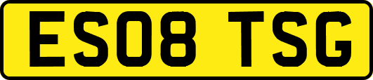 ES08TSG
