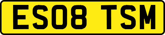ES08TSM