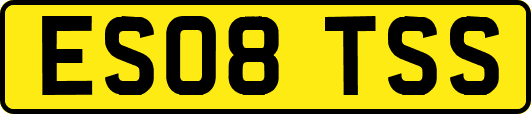 ES08TSS