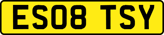 ES08TSY