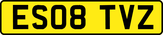 ES08TVZ