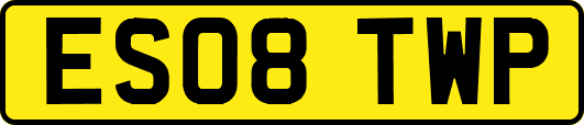 ES08TWP