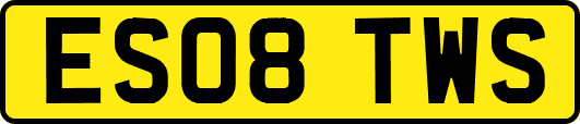 ES08TWS
