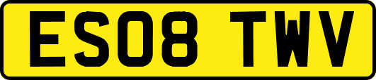 ES08TWV