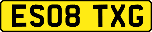 ES08TXG