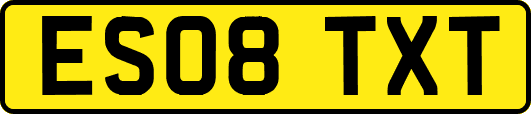 ES08TXT