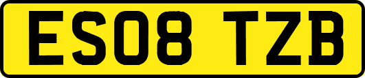ES08TZB