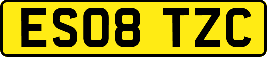 ES08TZC