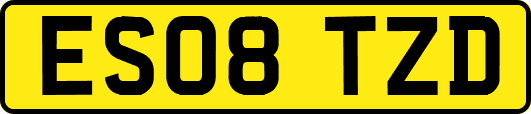 ES08TZD