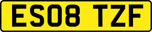 ES08TZF