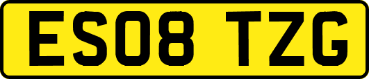 ES08TZG