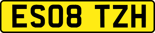 ES08TZH