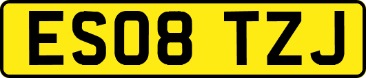 ES08TZJ