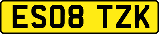 ES08TZK