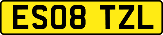ES08TZL