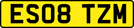 ES08TZM