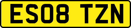 ES08TZN