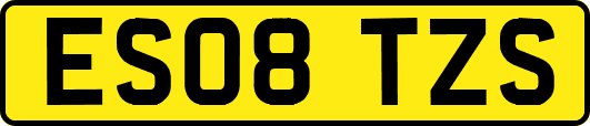ES08TZS